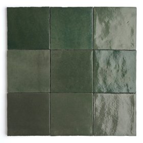 Fez Ivy Wall Tile