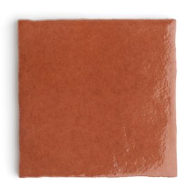 Fez Earth Wall Tile
