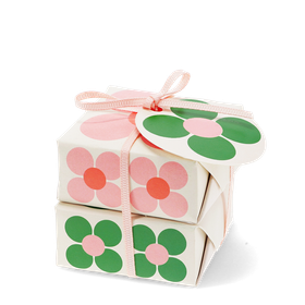 Nourishing hand soaps 75g (set of 2) - Daisy