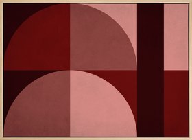 Shapes of Red Canvas