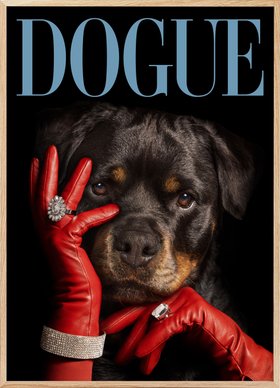 Dogue No3