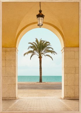 Palm Portal Print