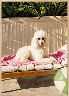 Poolside Pup Print