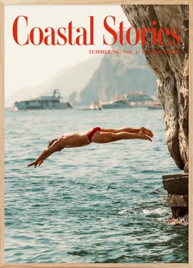 Coastal Stories Print