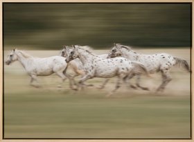 Galloping Horses Canvas