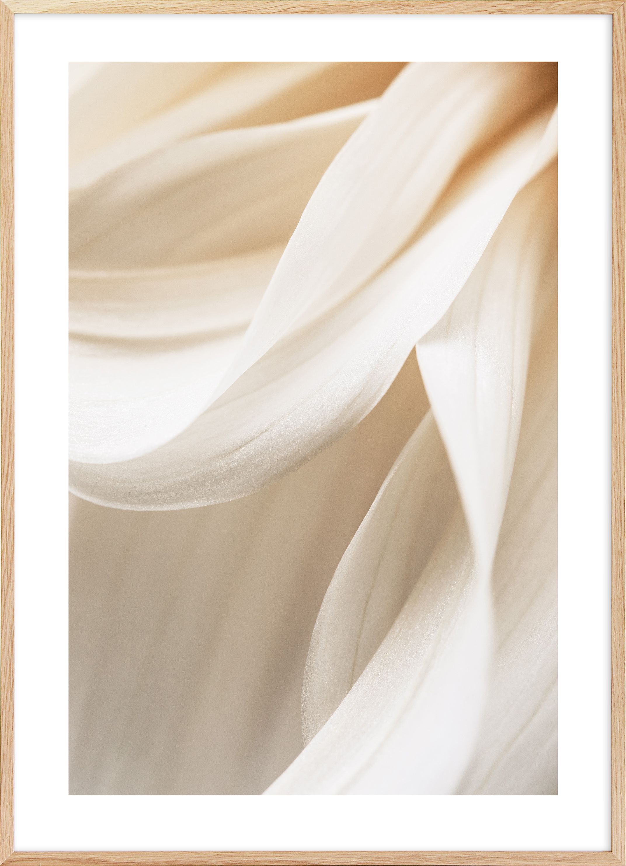 Warm Flower No2 Print