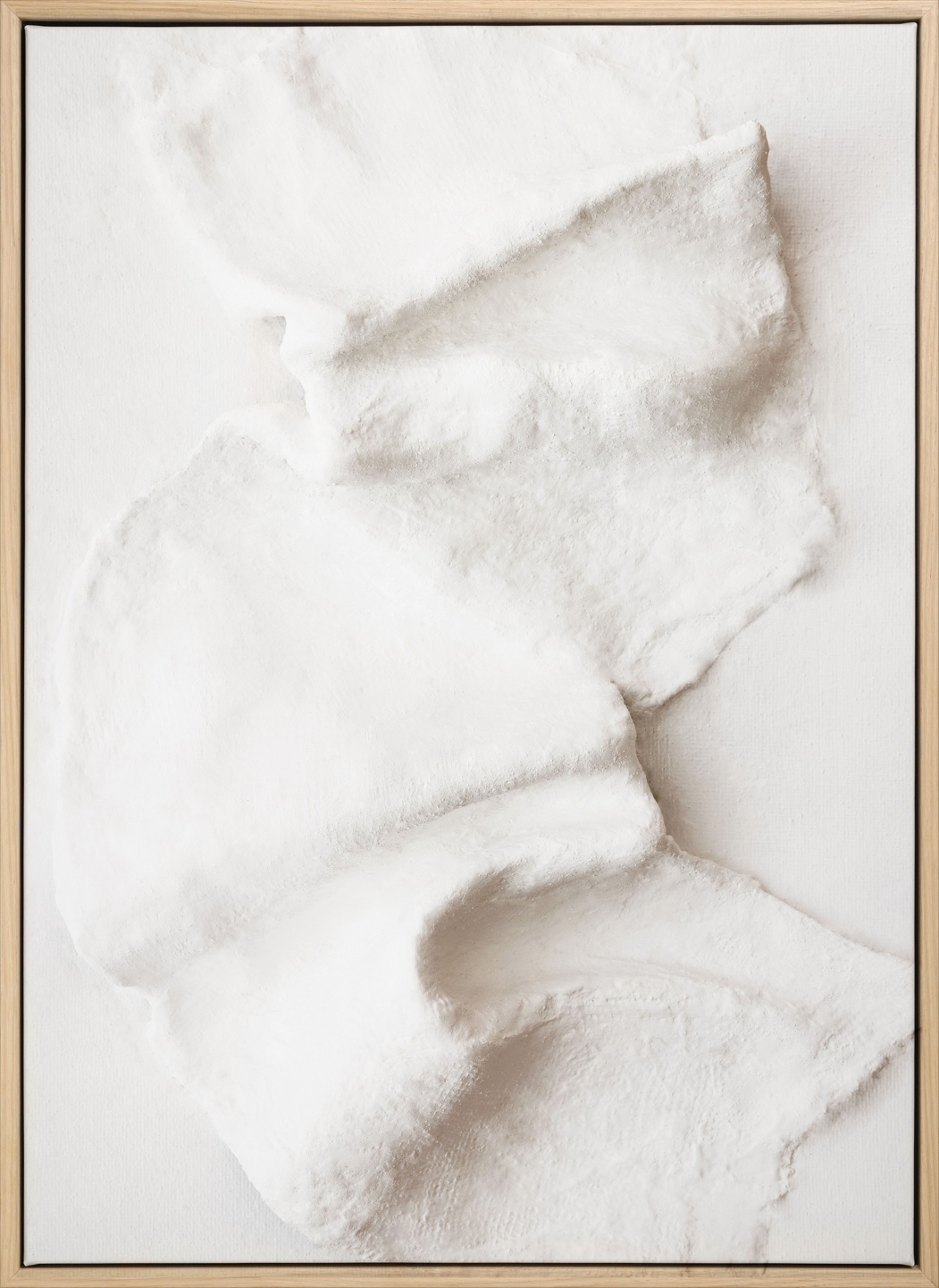 Sculpted Plaster Texture Canvas print