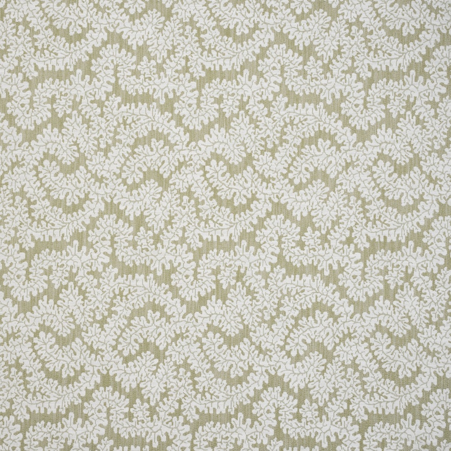 Rivora Willow