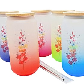 Frosted Glass Tumblers With Lid And Straw
