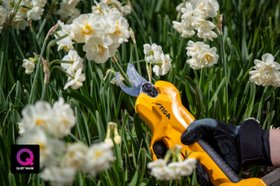 STIGA SC 100e Kit Battery Pruning Shear and Saw