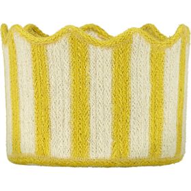 Daffodil Tulip Basket