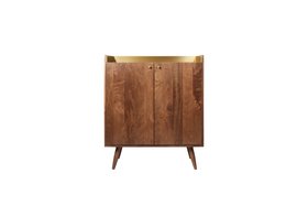 Fresco Light Brown Mango Wood & Brass Cabinet
