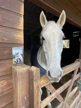 Stable sign with your horse photo