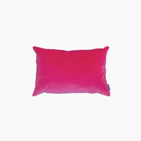 Bright Pink Velvet Cushion