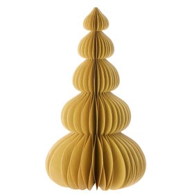 Moonpie Pecan Tree 23cm