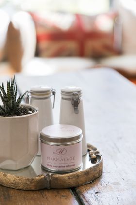 White Nectarine & Honey Medium Tin Candle