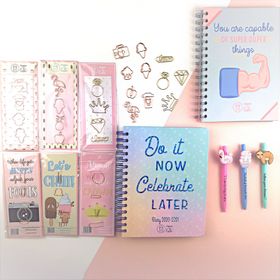 Stationery Set - Diary + Notebook + Paper clips + Pens set