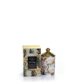 Wild Things: Candle - Pinemingos