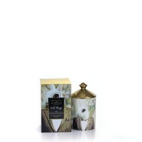Wild Things: Candle - Sir Hoppingsworth