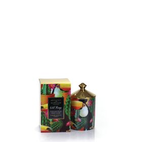 Wild Things: Candle - Toucan Play That Game