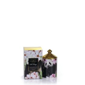 Wild Things: Candle - Pandamonium