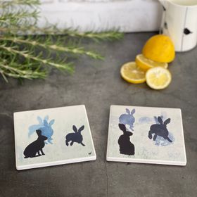 COASTER : hares 1