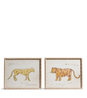 Set Of Two Sasan Animal Prints