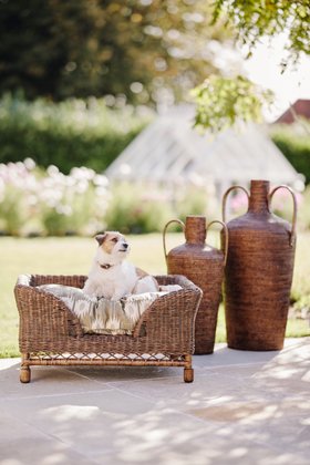 (GARDEN 2026) Garden, Rattan Dog Bed