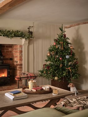 Christmas 2026, Fireplace Living
