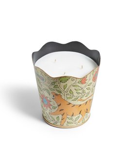 Cardamom Hills Candle 1.5kg