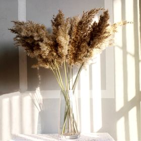 The Yasmine - Beige Dried Pampas Grass