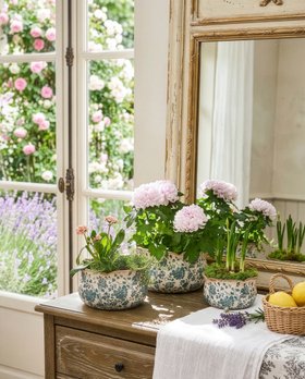 TEAL BOTANICAL PLANT POT COLLECTION