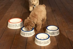 HUNDENAPF KLEIN NATOMO ONOMAO x JIMU KOBAYASHI BLAU