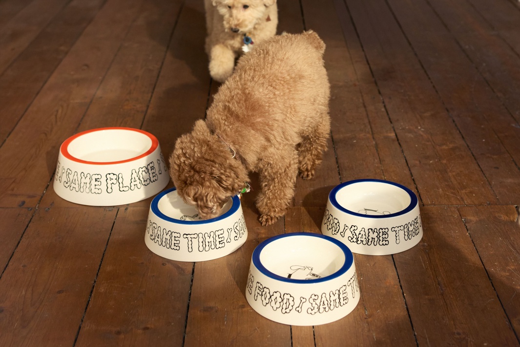 2026 01 27 Onomao2354 3