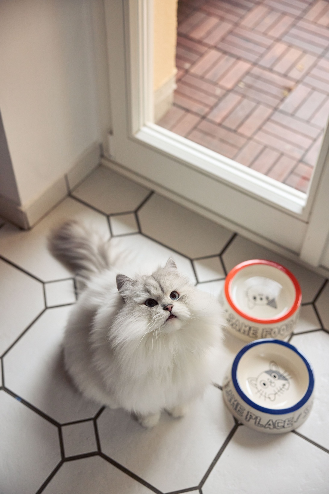 2026 01 27 Onomao3169 (1)