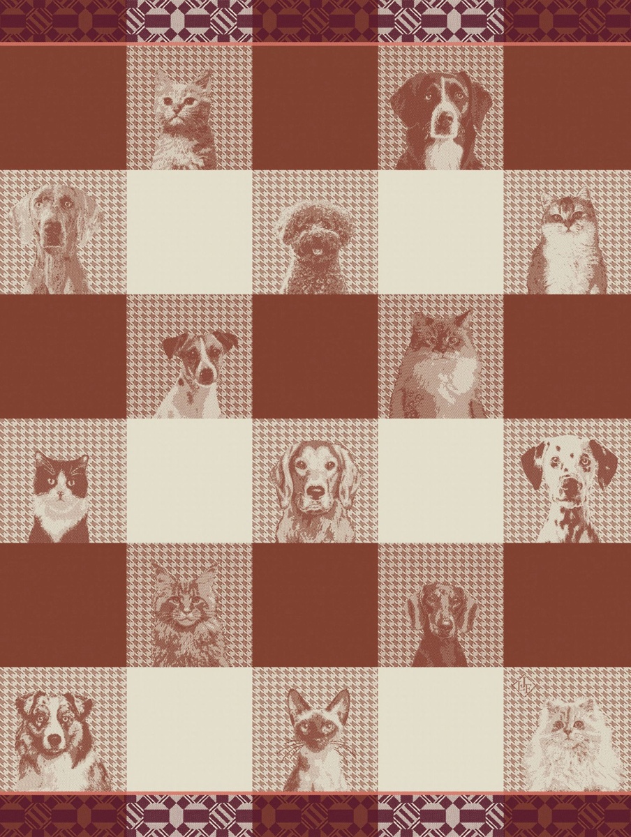 Jacquard Français 