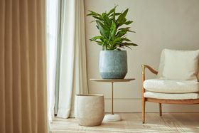 Leandro indoor plant pot W32cm
