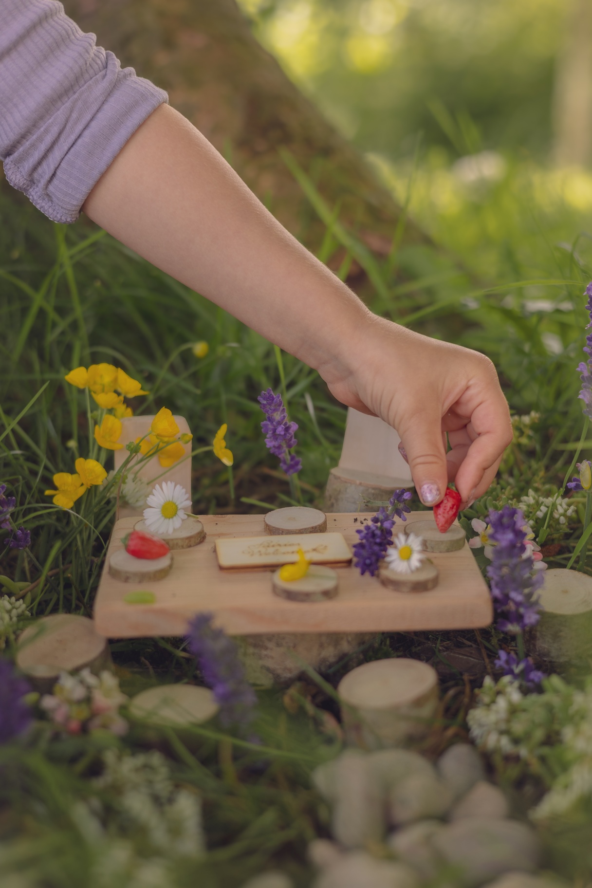 The Fairy Garden Kit (Gifts for Children, Christmas Eco Present, Summer Garden Toys)