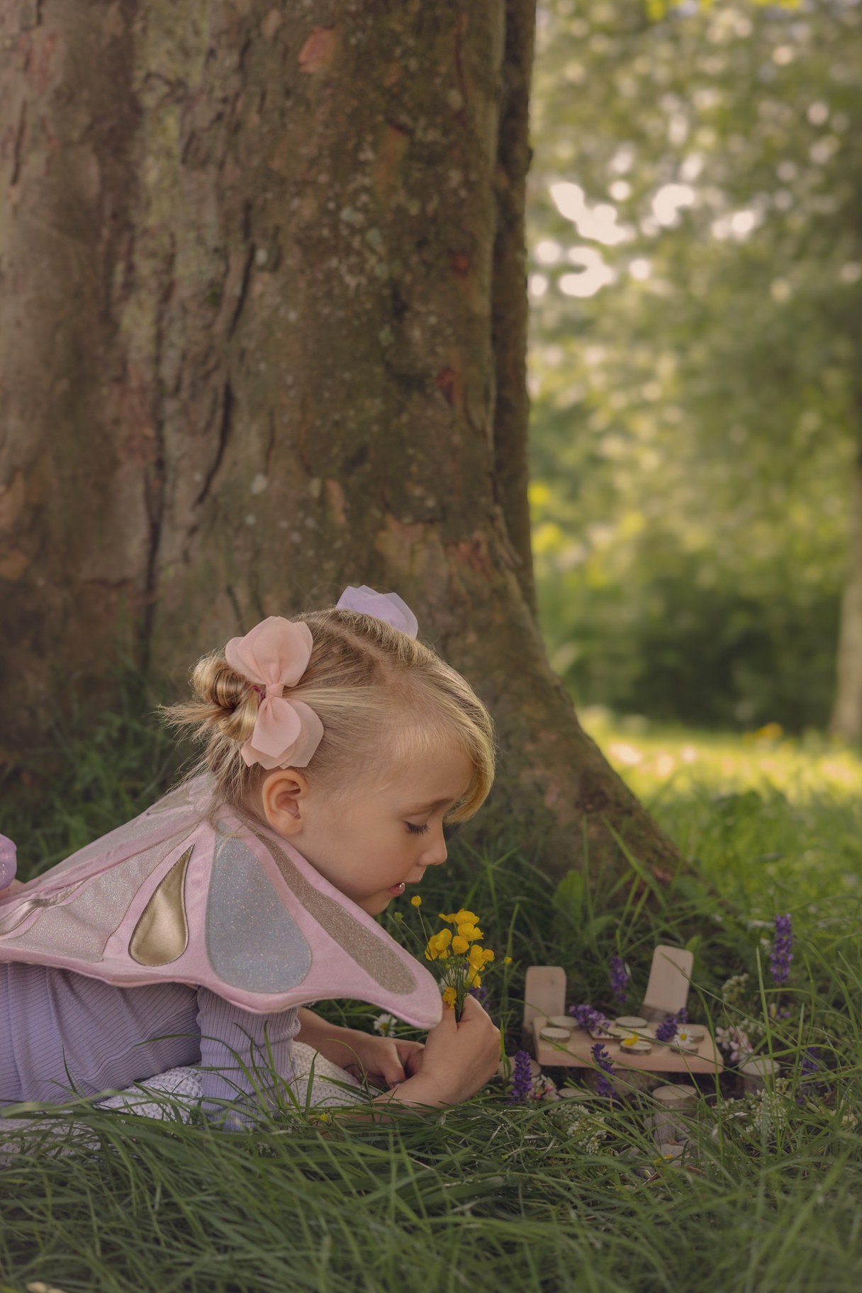 The Fairy Garden Kit (Christmas Gifts for Children, Alfresco, Garden Toys, Craft, Eco)