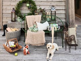 Wild Woodland Christmas