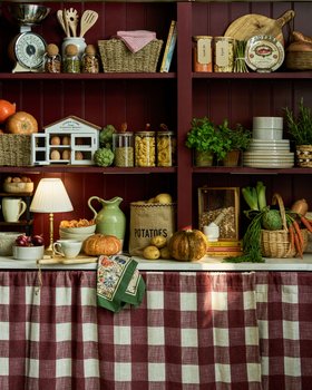 Wayfair Kitchen & Pantry Storage