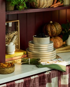 Wayfair Kitchen & Pantry Storage