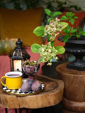 Autumn Cosy Magic