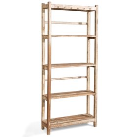 Tall Vintage Indian Shelves