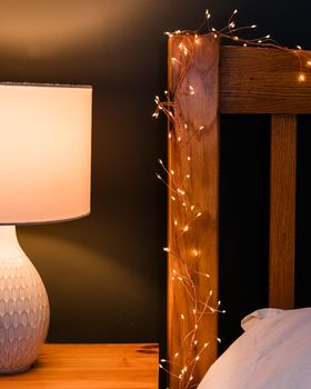 Copper Cluster Fairy Lights