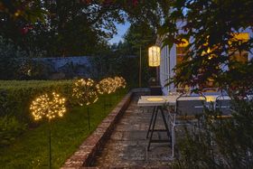 Dandelion Clock Solar Outdoor Light