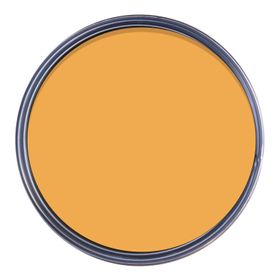 Ginger Gold Wall Paint