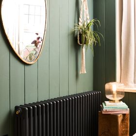 Marshland Green Wall Paint - (Image Credit: Lol Johnson Photography)