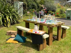 UV Clear Wood Paint