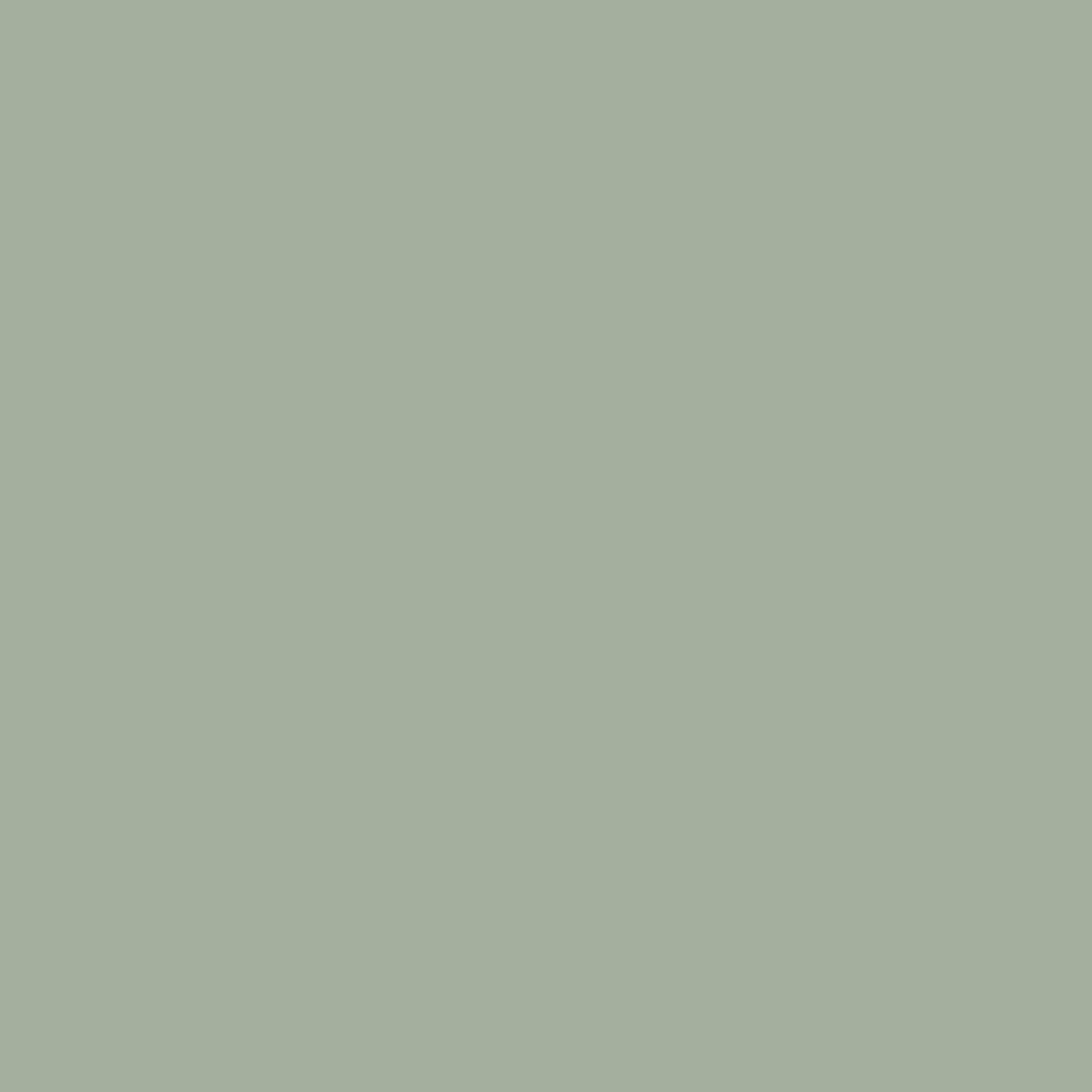 Goddess Green Wood Paint